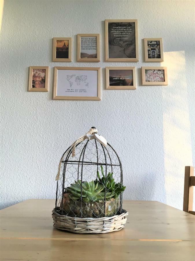 Ruhiges Apartment Am Rande Des Szeneviertels Dresden Dış mekan fotoğraf