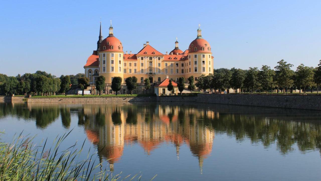 Ruhiges Apartment Am Rande Des Szeneviertels Dresden Dış mekan fotoğraf